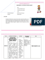 Sesiones 1 y 2 Semana