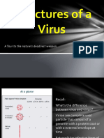 virus structure.pptx