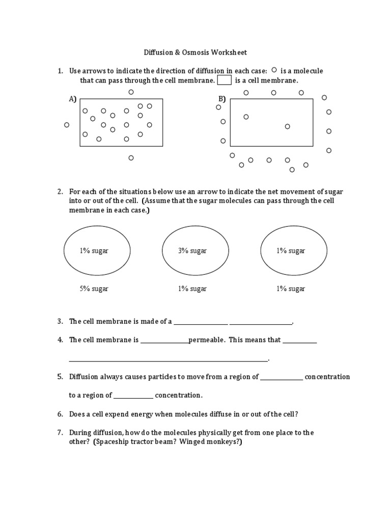 Diffusion Worksheet PDF | PDF | Wellness | Science & Mathematics