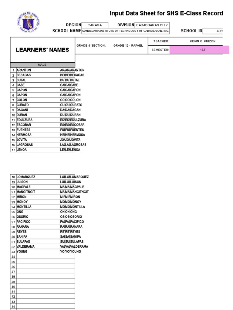 Learners names input data sheet for shs e class record download
