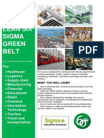 Green Belt Six Sigma Flyer