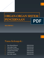 Kel 1 Organ-Organ Sistem Pencernaan