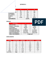 ESTRATO 2 TABLAS.docx