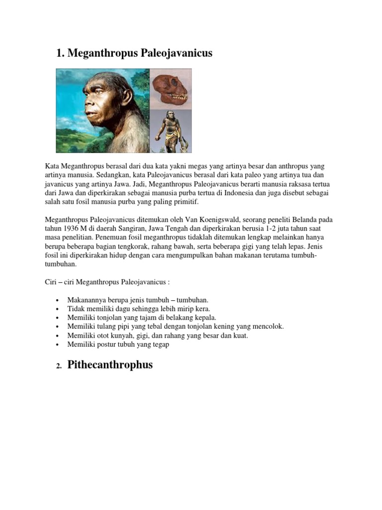 Sejarah Manusia Purba | PDF