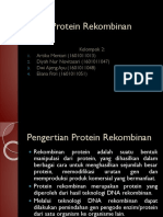 Protein Rekombinan