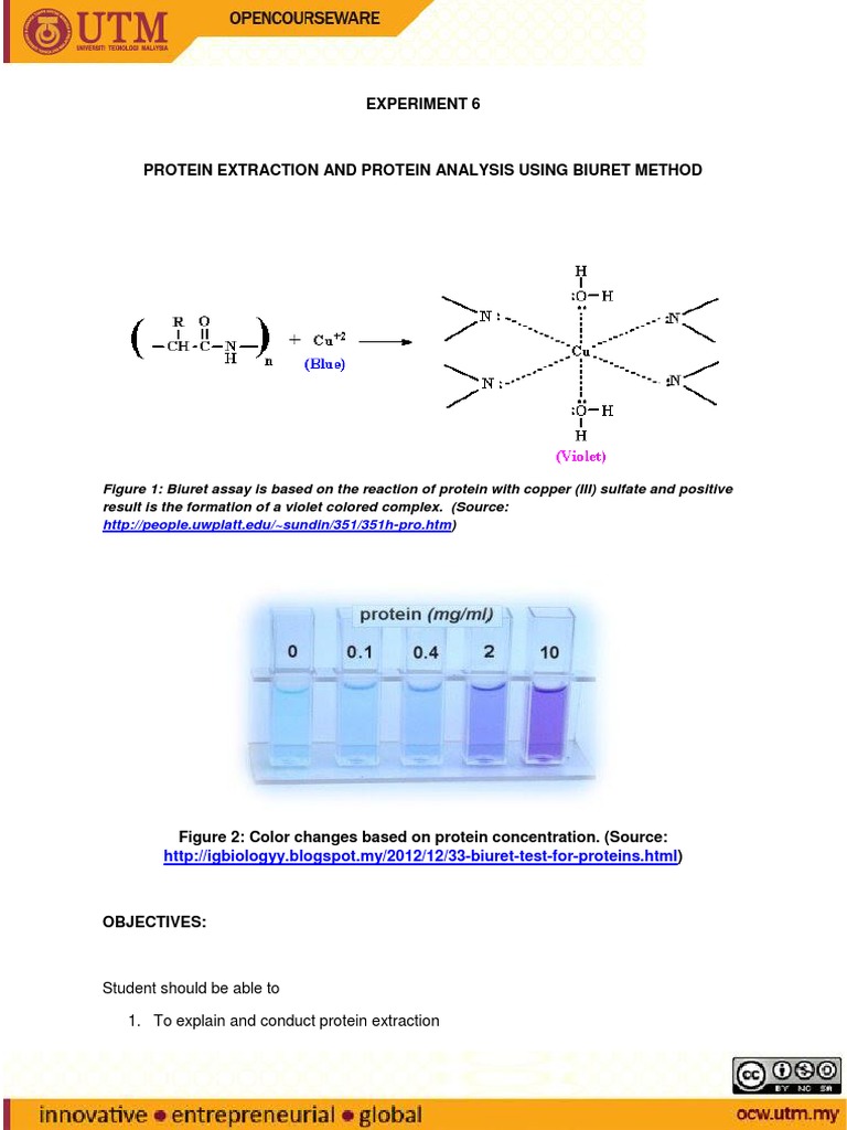 Protein Extraction and Biuret Analysis Guide | PDF | Laboratories ...