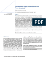 Intravenous Fluid Therapy in Intensive Care Units. Where Do We Stand?