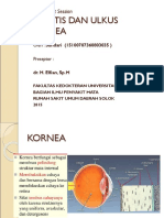 302108042-keratitis-ppt.ppt