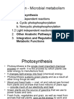 Anabolism - Microbial Metabolism