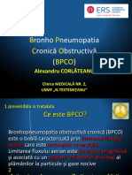 3.BPCO.pptx