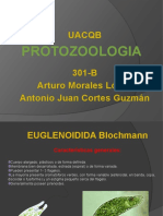 Expo de Proto (Euglena)