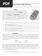 ANSWER KEY Enzyme Worksheet | PDF | Enzyme | Active Site