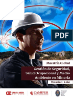 Maestria Ssoma PDF