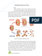 mekanisme-dan-regulasi-apoptosis1.pdf