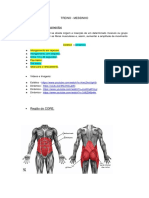 Treino - Atualizado PDF