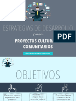 Estrategias de Desarrollo en Proyectos Culturales Comunitarios