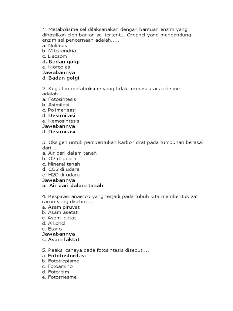 D Badan Golgi Jawabannya