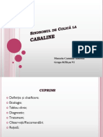 Colica La Cabaline