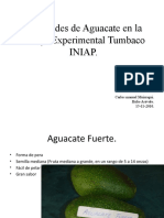 Varied A Des de Aguacate en La Granja Experimental Tumbaco