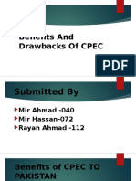 Benefits and Drawbacks of CPEC