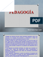 Pedagogia h