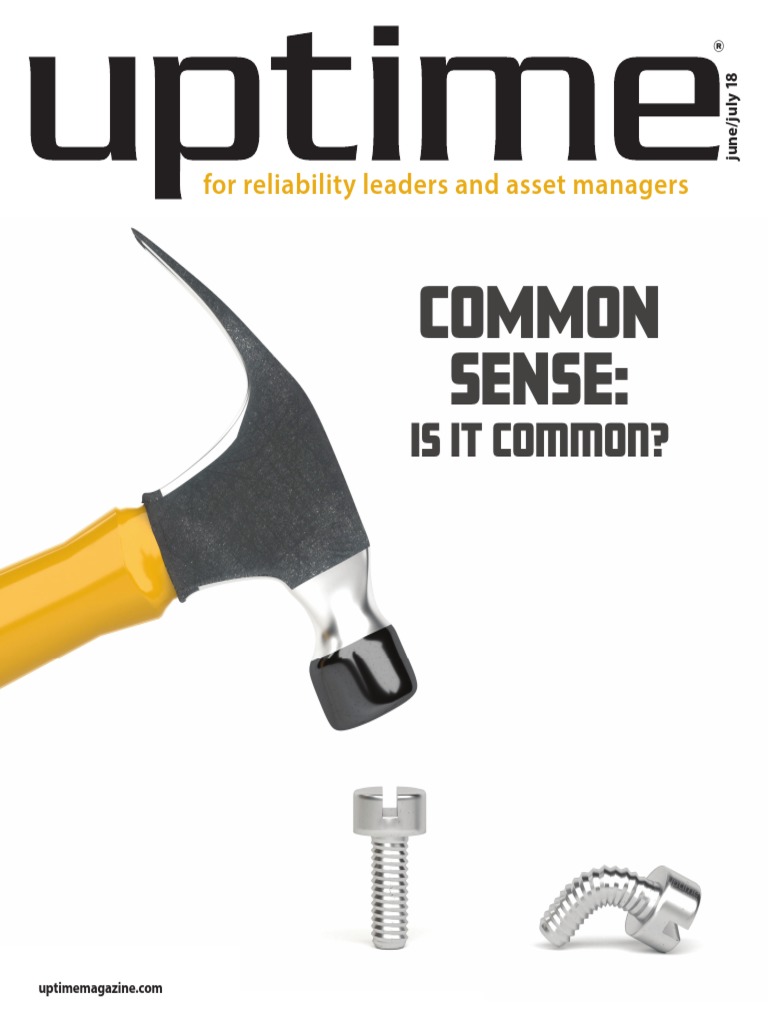 Common Sense | PDF | Pump | Reliability Engineering