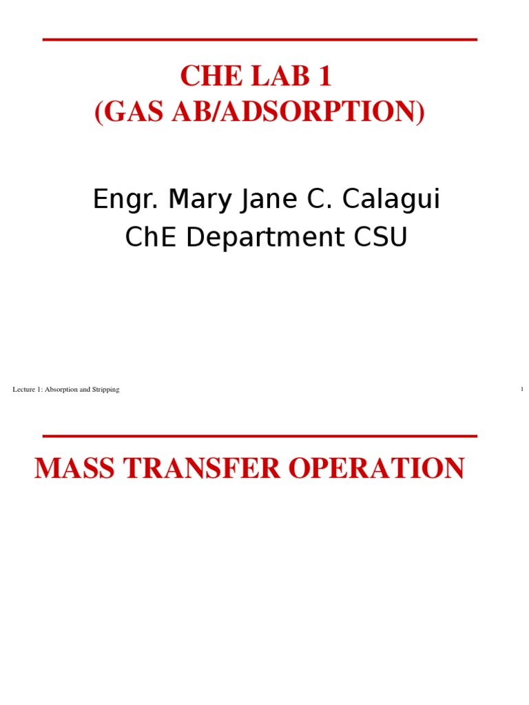 Analysis of Gas Absorption and Adsorption Processes in Chemical