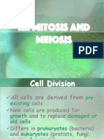 B. The Cell Cycle