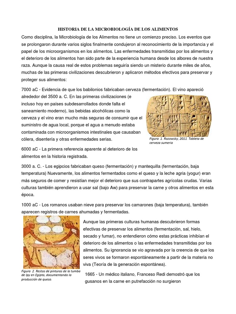 Historia de la Microbiología Alimentaria | PDF | Luis Pasteur ...