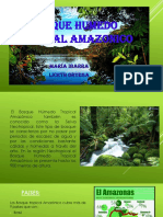 Bosque Humedo Tropical Amazonico