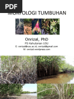 morfologi_tumbuhan_2