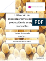 MourenzaFlorez Alvaro TFG 2013 PDF