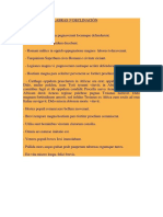 Actividades Palabras 3 Declinación