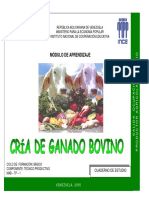 CRIA DE GANADO BOVINO.pdf