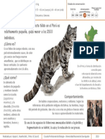Infografía de Leopardus Jacobita