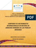 Compendio de Instrumentos Internacionales en Materia de Derechos Humanos de Los Pueblos Indigenas PDF