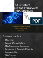 DNA Structure (Eukaryote and Prokaryote) and RNA Structure