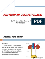 Curs 1 Nefropatii glomerulare.ppt