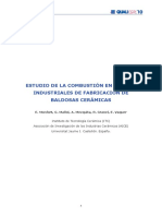 2010256.pdf