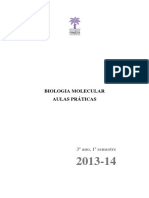 BIOLOGIA MOLECULAR AULAS PRÁTICAS. 3º ano, 1º semestre 2013-14