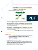 2_Genoma.pdf