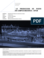 Analisis Produccion Pozos Petroleros para Campos Maduros