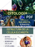 La Célula DR Medina PDF