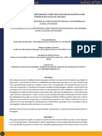 A Programação de Computadores Como Processo Metacognitivo Uma