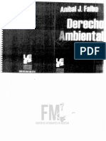 (521-19) Derecho Ambiental - Falbo.pdf