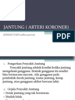 Penyakit Jantung Arteri Koroner 