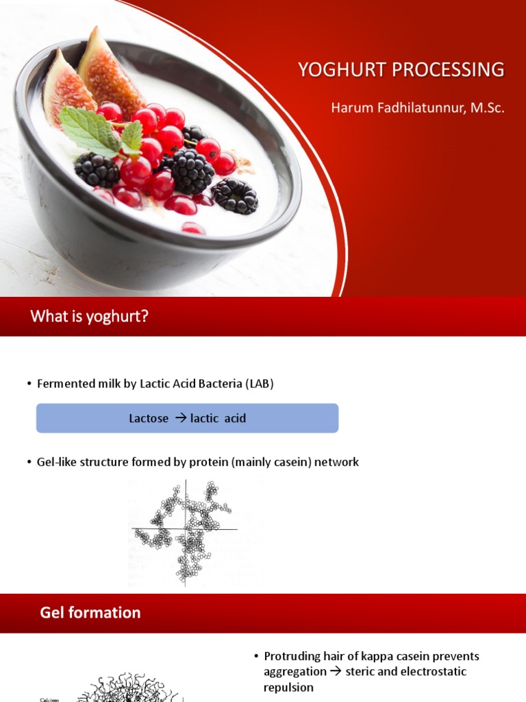 Yoghurt Processing Harum Fadhilatunnur M Sc Pdf Yogurt Milk