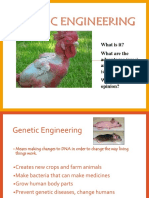 Genetically Modified Organisms