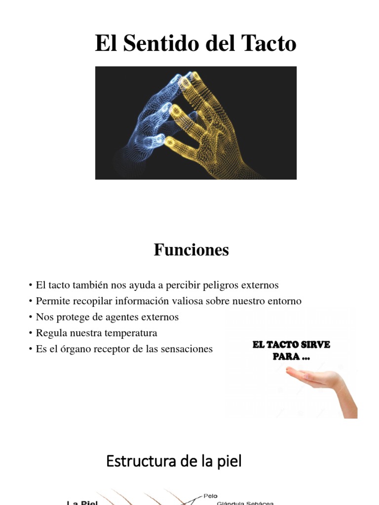 El Sentido Del Tacto | PDF