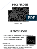 Leptospirosis